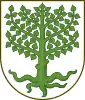 Coat of arms of Ærøskøbing