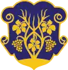 Coat of arms of Uzhhorod