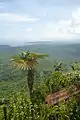 View from El Yunque