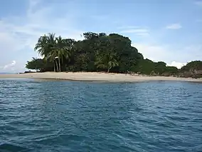 A small tropical island with palms