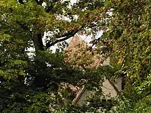 Bellerive Castle roof