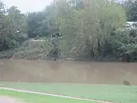 Colorado River east of Columbus, Texas