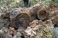 weathered piece of machinery sitting in the woods on some rocks