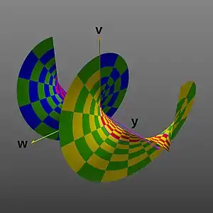 Projection into the 
  
    
      
        y
      
    
    {\displaystyle y}
  
, 
  
    
      
        v
      
    
    {\displaystyle v}
  
, and 
  
    
      
        w
      
    
    {\displaystyle w}
  
 dimensions, producing a spiral shape. (
  
    
      
        y
      
    
    {\displaystyle y}
  
 range extended to ±2π, again as  2-D perspective image).