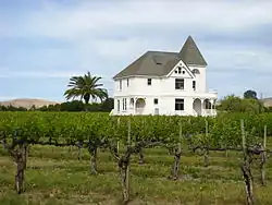 Concannon Vineyard