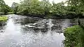 Confluence of the Lugar and Ayr rivers, Barskimming, Ayrshire