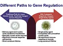 Different Paths to Gene Regulation alt text