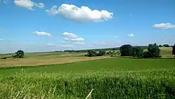 Farmland in Corinth Township