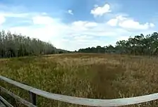 A sawgrass prairie