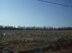 A farm field in Kirkland Township