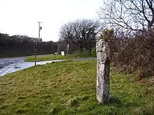 Fig. c7: Hendra or Pentaly Cross