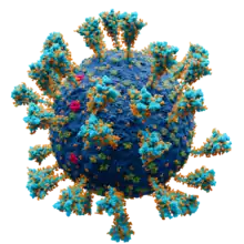 Scientifically accurate atomic model of the external structure of SARS-CoV-2. Each "ball" is an atom.