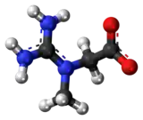 Ball and stick model of creatine