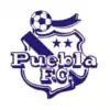 Crest used from 1990 to 1994