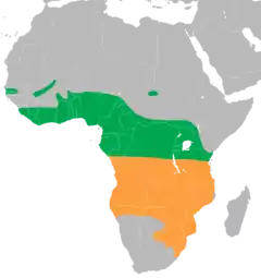 Map of Africa showing highlighted range. Year-round range covers most of equatorial Africa. Summer range covers southern much of southern Africa.