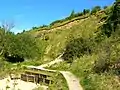 Crickley Hill Country Park showing quarry workings