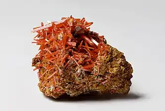 A sample of crocoite crystals from Dundas extended mine in Tasmania. Discovered in 1797 by the French chemist Louis Vauquelin, it was used to make the first synthetic orange pigment, chrome orange, used by Pierre-Auguste Renoir and other painters.