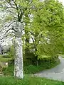 Fig. h5a: one of the crosses in the churchyard of Cardinham