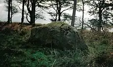 The Rocking Stone at Cuff Hill in Ayrshire.