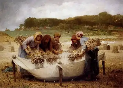 The Poppy Harvest