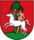 Coat of arms of Wildemann