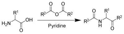 The Dakin–West reaction