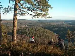 View of the forests and lakes of Andebu seen from Dalaåsen.Credit: Gunnar Gallis