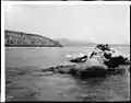 Capistrano Beach from the sea, c. 1900