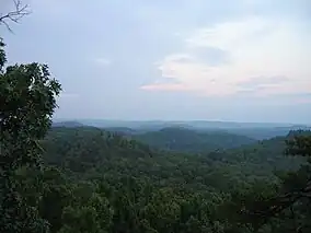 The forest viewed from Tater Knob.