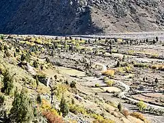 Fields on the Bhaga river bed, Oct '20