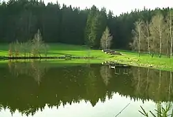 The Tannschorrenweiher on the Haslach Plateaux between Haslach and Tannheim