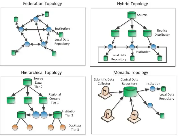 Possible Data Grid Topologies