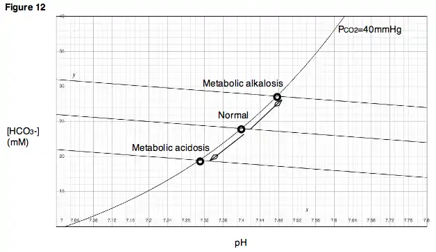 Figure 12. Alterations in the concentrations of acidic or basic metabolites may result in metabolic acidosis or metabolic alkalosis.