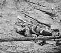 Dead Confederate soldier at Petersburg, Virginia, April 1865