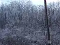 Landscape coated in ice in Dutchess County, New York