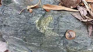 Deformed epidote within greenschist rock from Itogon, Philippines