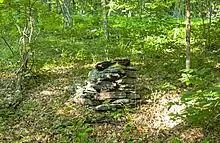 A medium-size pile of flat gray rocks with a yellow paint splotch on top in a green deciduous forest