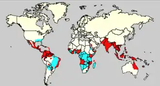 World map showing the countries where the Aedes mosquito is found (the southern US, eastern Brazil and most of sub-Saharan Africa), as well as those where Aedes and dengue have been reported (most of Central and tropical South America, South Asia and Southeast Asia and many parts of tropical Africa).