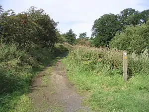 Dere Street at Crailinghall, Scottish Borders