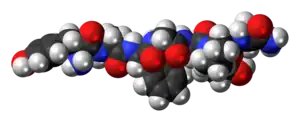 Space-filling model of the dermorphin molecule