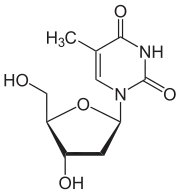 Skeletal formula of thymidine