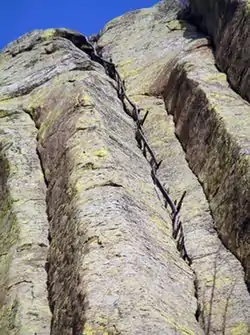 Tower Ladder-Devils Tower National Monument