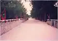 Dharavandhoo Main Road in 90s (from near Baa Atoll School)