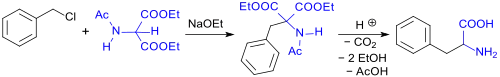 synthesis of rac-phenylalanine