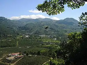 Coffee plantation just south of Orosi