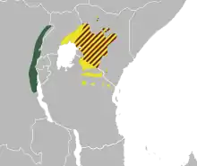 Subspecies reichenowi can be both found in south and west Kenya, in north Tanzania and in east Ouganda. subspecies.shellyae can be found alongside the eastern border of Democratic republic of the Congo. subspecies lathburyi can be found with subspecies reichenowi in kenya