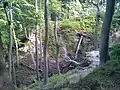 Djævlekløften (Devil's Gap), probably the deepest gully in the forests.