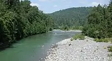 About 10 people are gathered along a rocky shore or swimming in a river in a forest.