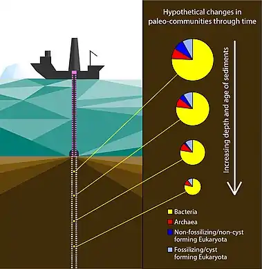 Drilling vessel recovering a sediment core for sedaDNA analysis and hypothetical past marine community composition 