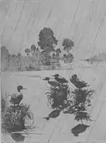 Ducks in the Rain, 1918, University of New Hampshire Museum of Art